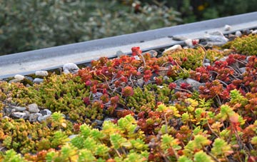 the cost of Little Hulton green roof installation